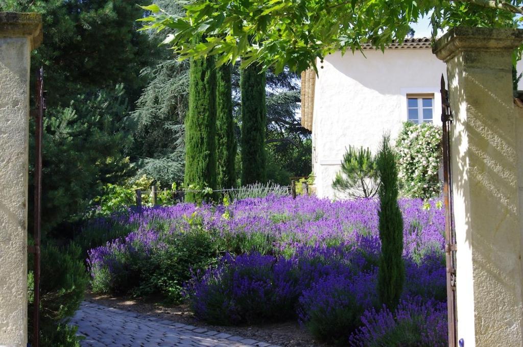 Appartement On Dirait Le Sud à Andrezieux-Boutheon Extérieur photo